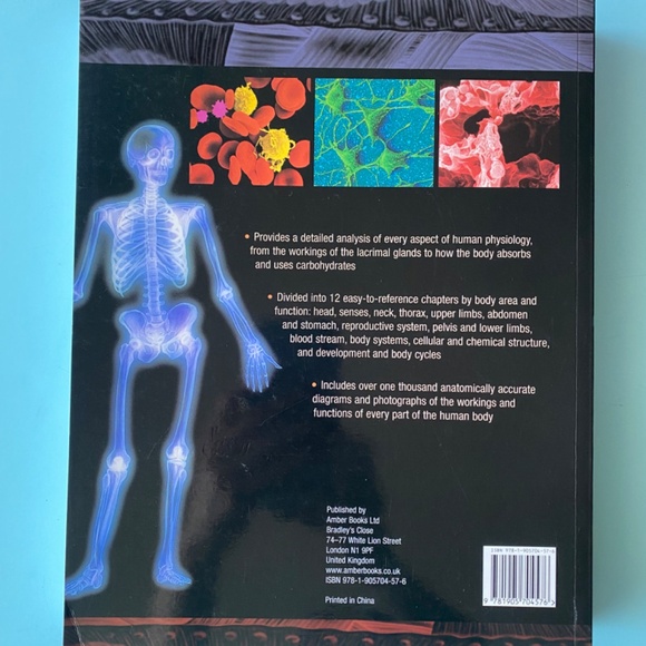 How the Body Works: A Comprehensive Illustrated Encyclopedia of Anatomy - Picture 3 of 4
